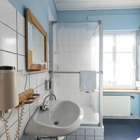 Pensionat Lindenbusch 3*